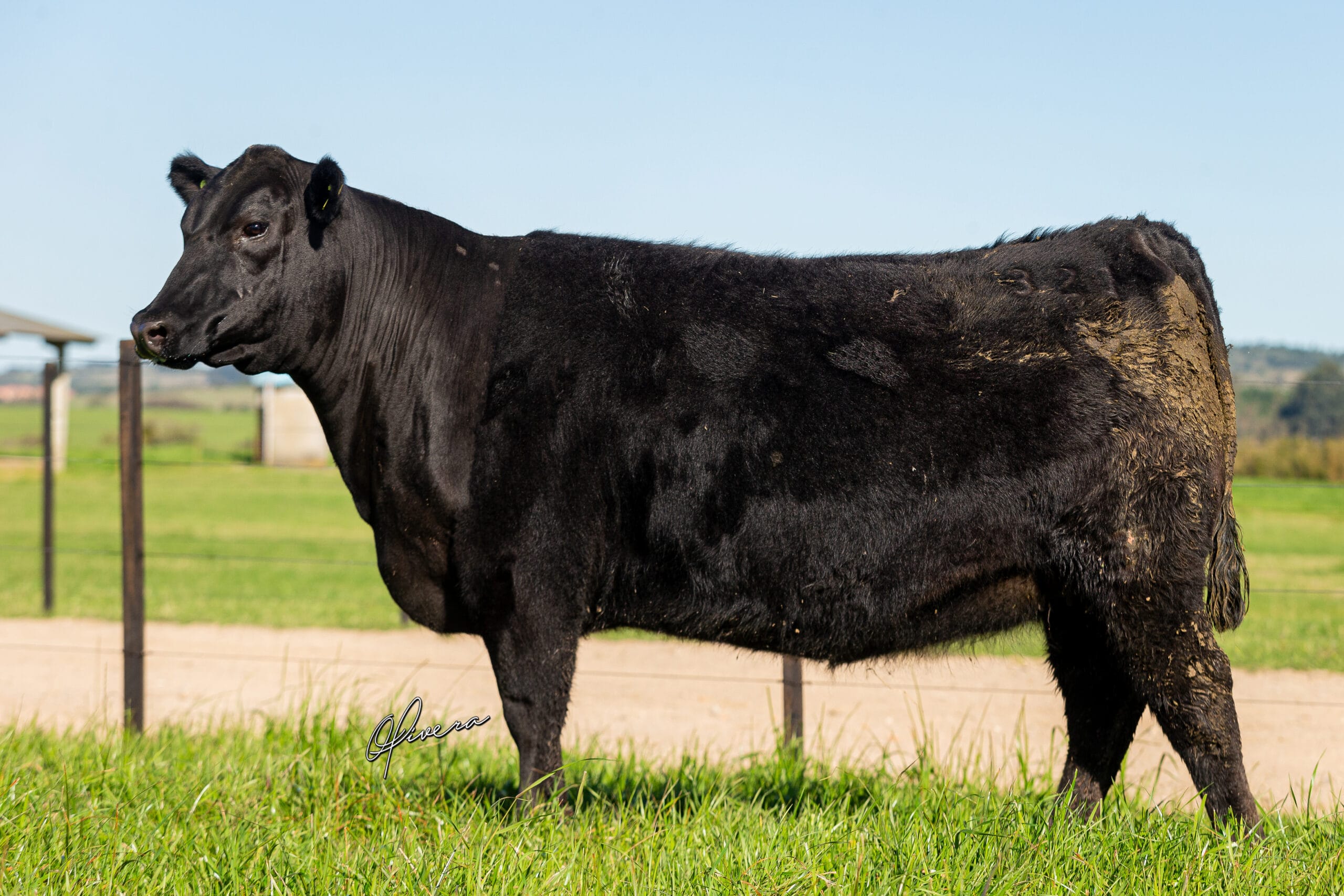 GRO_6460_TAT 321 RECALADA 2022 _ Fotografia Gabriel Olivera